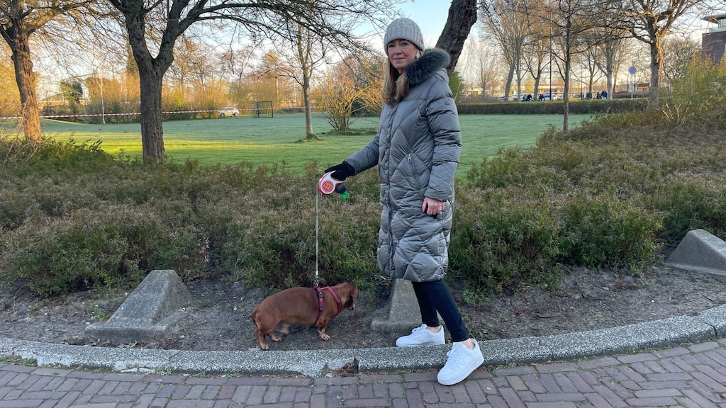 Daniëlle laat haar hond uit vlakbij de plek van het ongeval. "Ik wist meteen dat het om iets ernstigs ging."