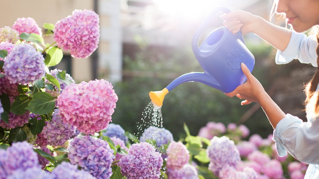 'Planten snoeien bleek zo makkelijk nog niet'