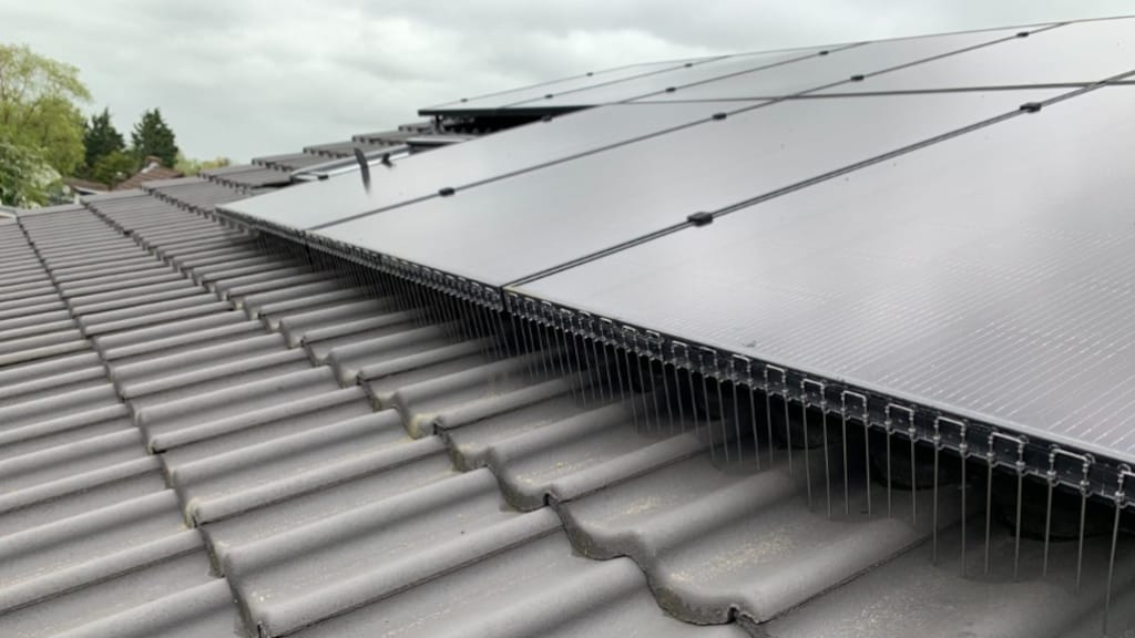 Vogelwerende maatregelen bij zonnepanelen.
