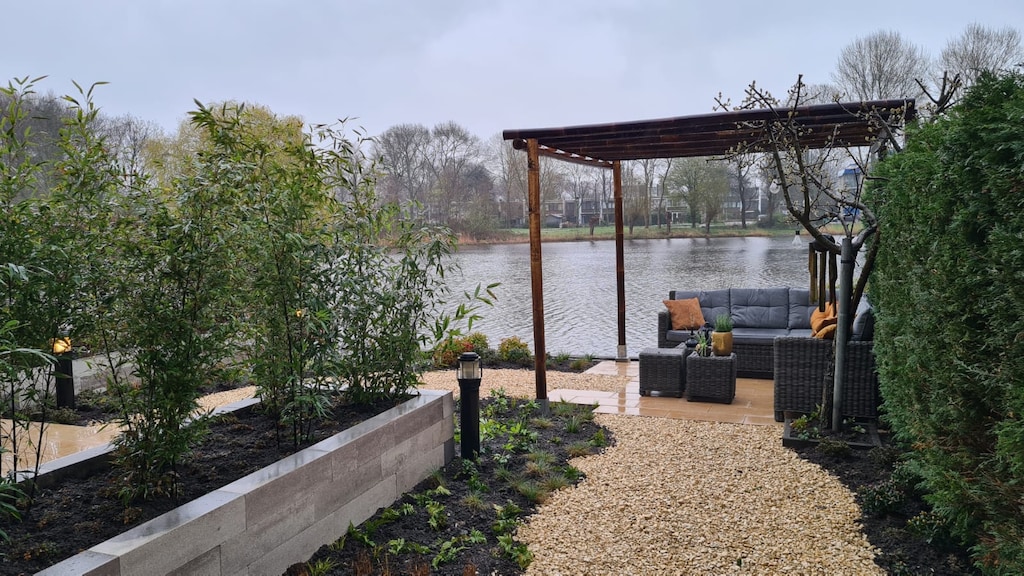 De zwarte bamboe in de verhoogde bak