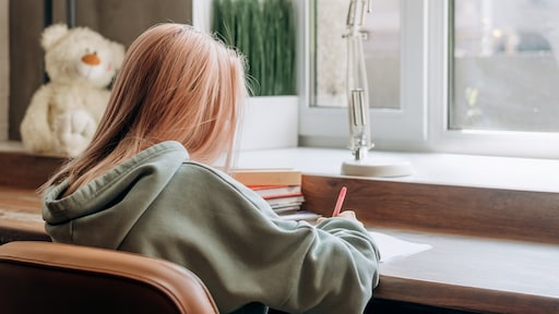 Inspectie: duizenden mbo'ers met diploma zijn 'laaggeletterd'