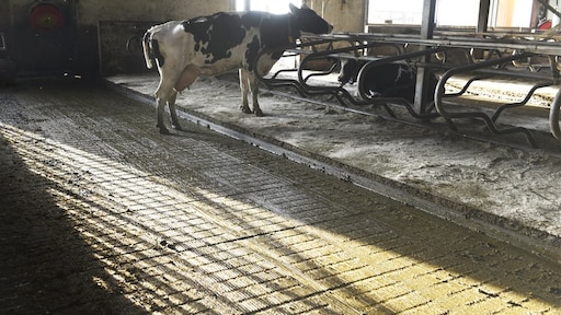 Onderzoek: technische innovaties dringen stikstof niet genoeg terug