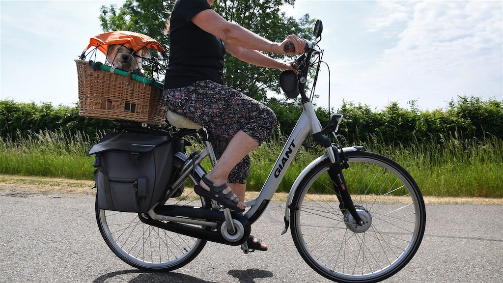 Zonnig weekend, zonkracht stijgt: 'Risico op verbranding'