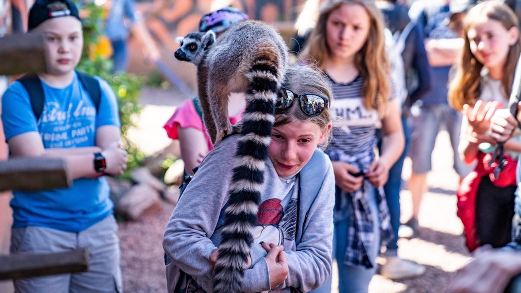 Ouders weigeren vrijwillige bijdrage, schoolreisjes geannuleerd