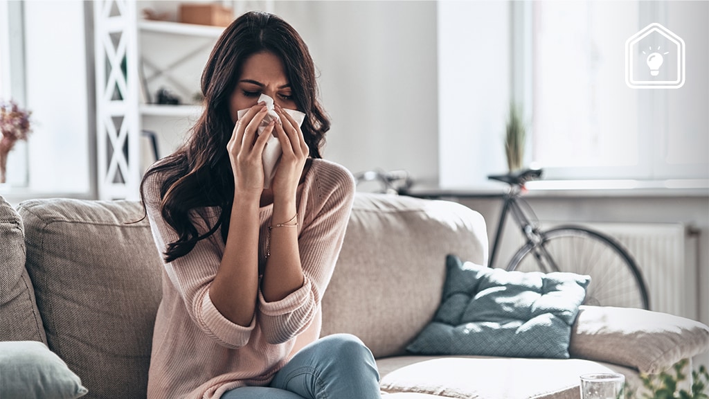 6 tips om je huis zo veel mogelijk hooikoortsvrij te maken