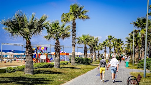 D-reizen en Prijsvrij verliezen rechtszaak tegen Consumentenbond