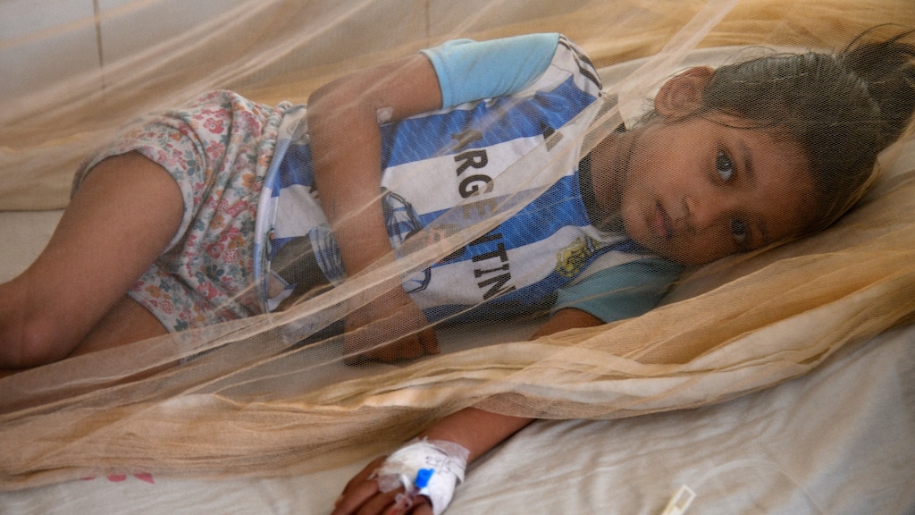 Rapport: klimaatverandering kan tot desastreuze gezondheidseffecten leiden