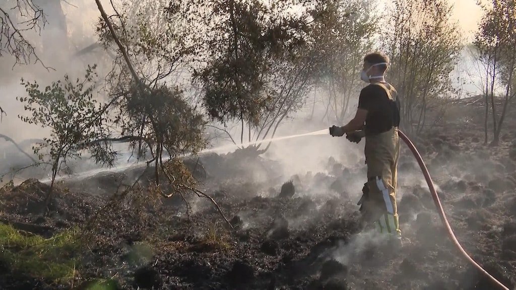 Grote heidebrand in Limburg na uren blussen onder controle