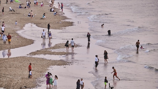 'Spaanse' hitte steeds normaler in Nederland: 'Neem tijd om te wennen'