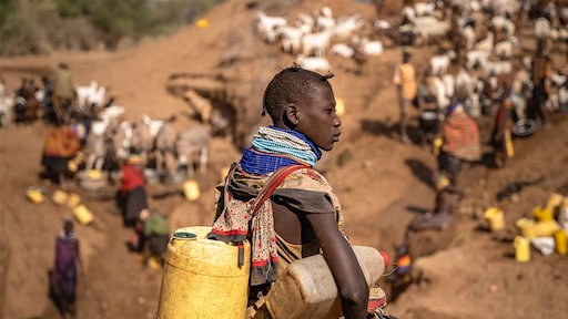 Weerfenomeen El Niño is begonnen, zeggen Amerikaanse wetenschappers