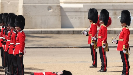 Prins William bedankt Guards voor hun inzet nadat ze flauwvallen van de hitte