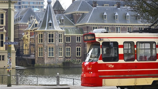 Terecht ontslag voor ziekelijk klagende trambestuurder