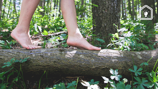 7 leuke blotevoetenpaden in Nederland