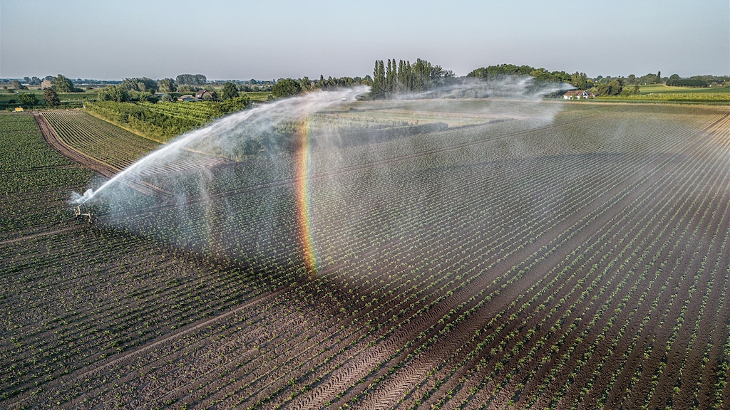 Kletsnat voorjaar, nu een droogterecord: waar is al dat water gebleven?