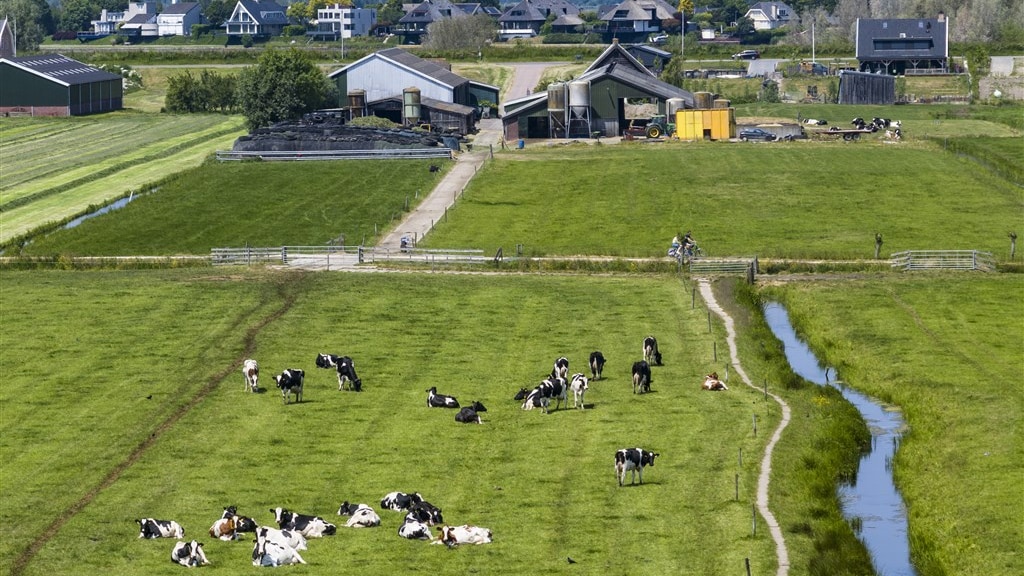 Kamer wil meer 'groene' boeren: meer ruimte voor natuur door aanpassing grondregels