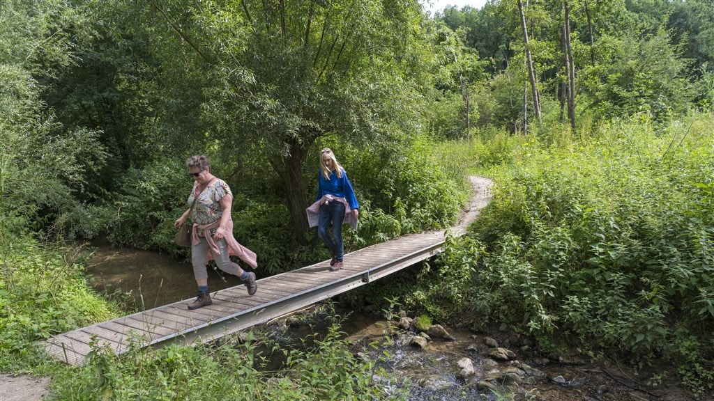 Aanpak droogte: oproep tot mijden waterverspilling en sproeiverboden