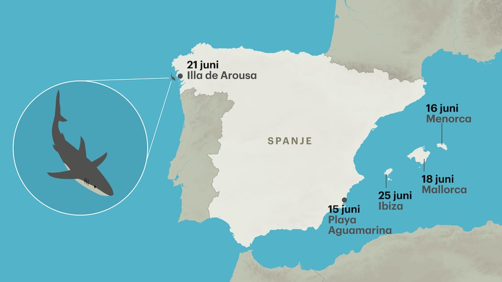 Vier haaien doken op in het oosten van Spanje, een in het westen