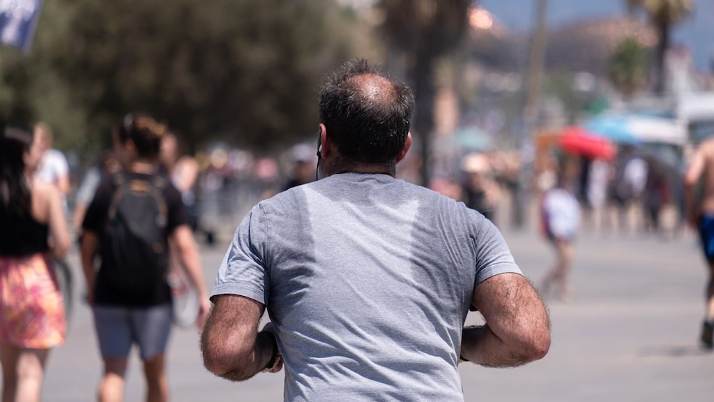 Zweten helpt bij het afkoelen van het lichaam.