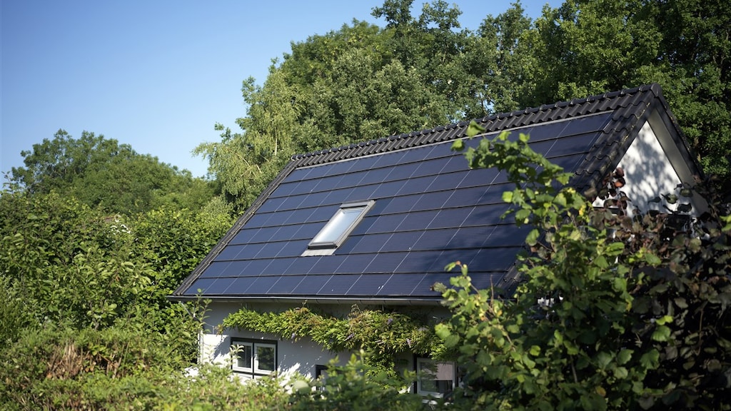 Boom snoeien voor meer opbrengst zonnepanelen? Deze gemeente gaat hard optreden
