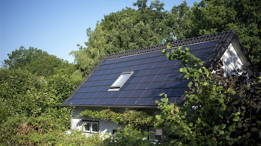 Boom snoeien voor meer opbrengst zonnepanelen? Deze gemeente gaat hard optreden