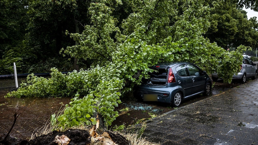 Poly is zwaarste zomerstorm ooit gemeten: 'Blijf weg van bomen!'