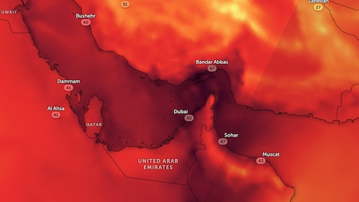 Warmste dag ooit in warmste week ooit: 'Dit loopt uit de hand'