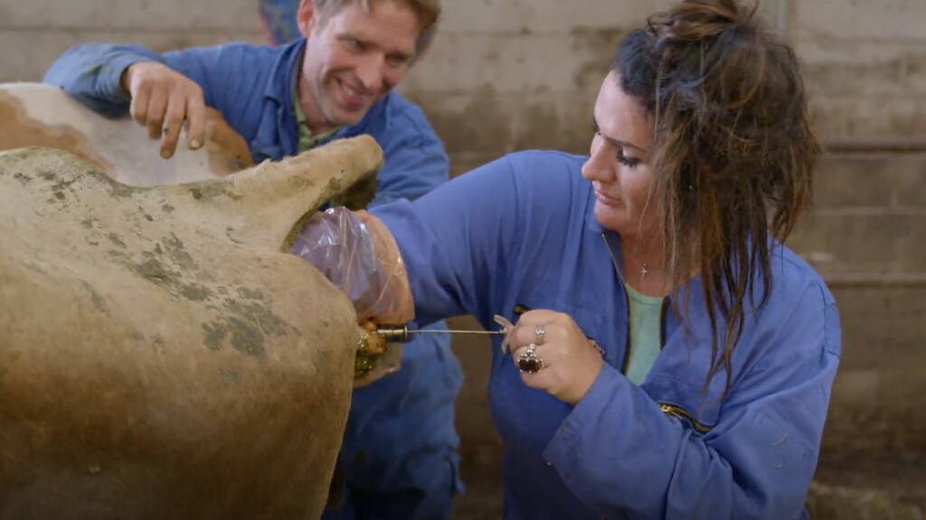 Louisa Janssen probeert koe te bezwangeren: 'Ik zit vast!'