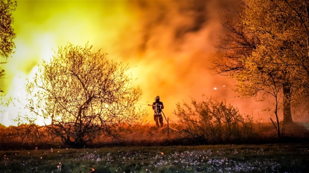 Meer kans op natuurbranden: sinds 1950 dubbel zoveel risicodagen