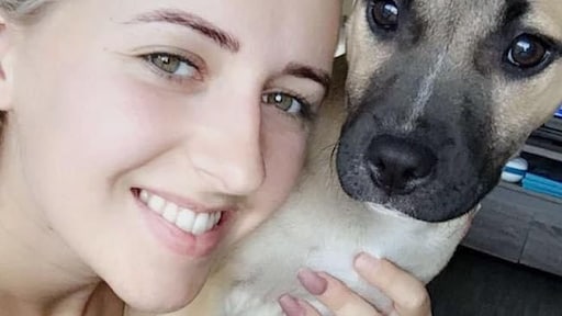 Honden- en kattenpensions overvol: 'Heb er dertig gebeld, nergens plek'