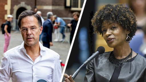 19 vertrekkende politici: hoeveel wachtgeld krijgen zij?