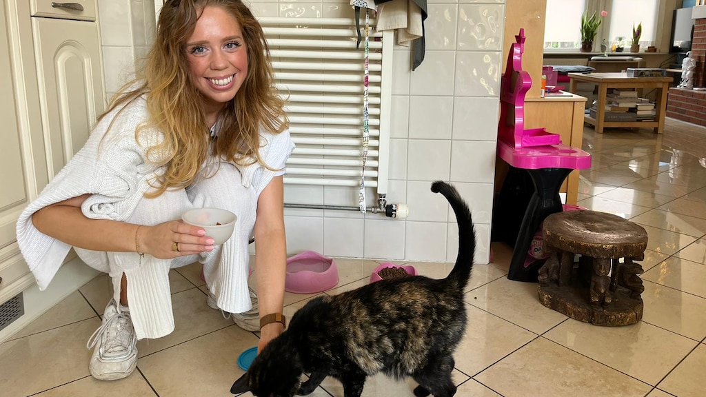 Baasjes vinden huisdieroppas via speciale 'Airbnb-site': 'Routine van belang'