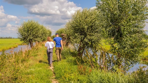 Al bij 5000 stappen lager risico op vroegtijdig overlijden: 'We lijden aan bewegingsarmoede'