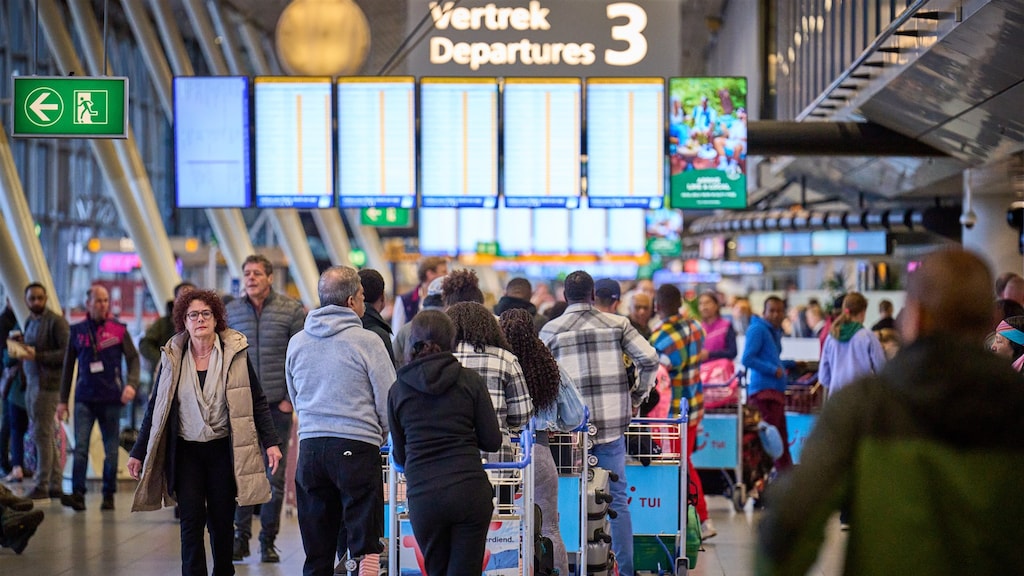 Kwart vliegt minder vanwege zorgen om klimaatverandering