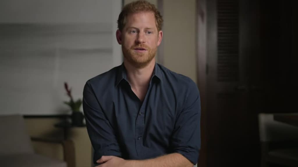 Prins Harry: 'Trauma's van overlijden moeder aangewakkerd na militaire uitzending'