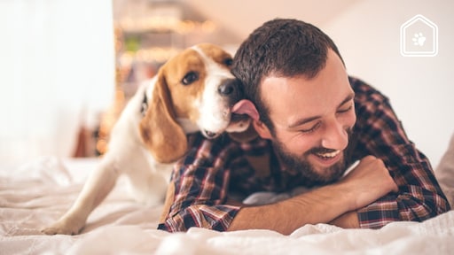 Dit is dus de reden dat een hond zijn baasje likt