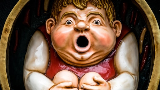 Juf neemt kinderen stiekem mee naar Efteling: ontslag op staande voet