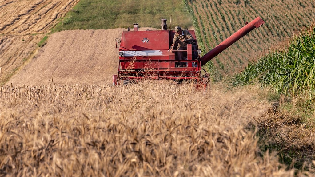 Polen levert Oekraïne geen wapens meer na escalatie ruzie over graan