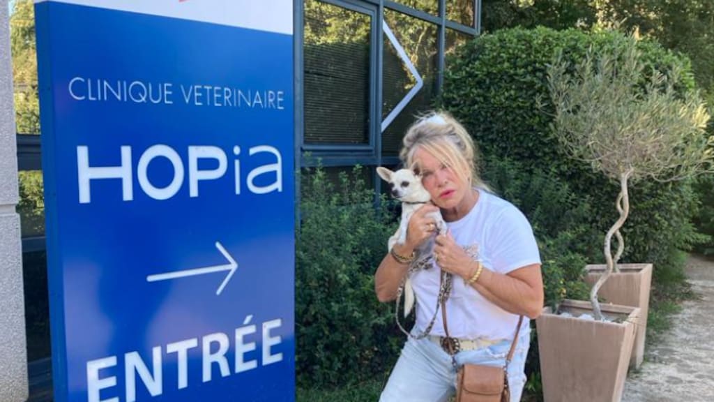 Hond Amy van Marian uit B&B Vol Liefde overleden