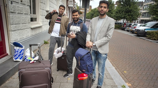 Veruit meeste migranten komen voor studie, werk of liefde