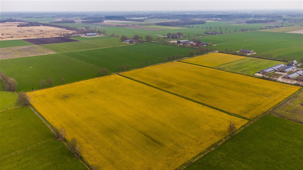 Kwestie glyfosaat: woede in Kamer op 'laffe' landbouwminister Adema