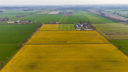 Kabinet onthoudt zich van oordeel omstreden onkruidverdelger glyfosaat