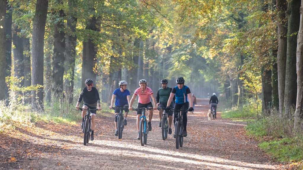 Temperatuur vanaf het weekend flink omlaag: 'Scheelt een jas'