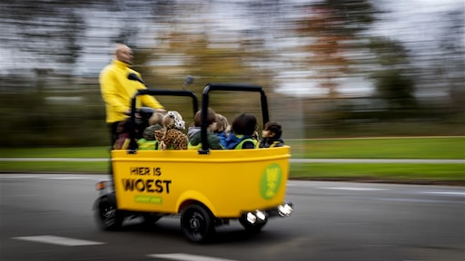 Kabinet wil kentekenplicht voor elektrische step, stint en segway