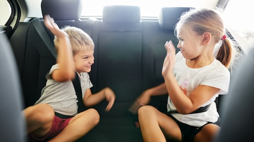 'De kinderen meppen elkaar bij elke gele auto die voorbijkomt'