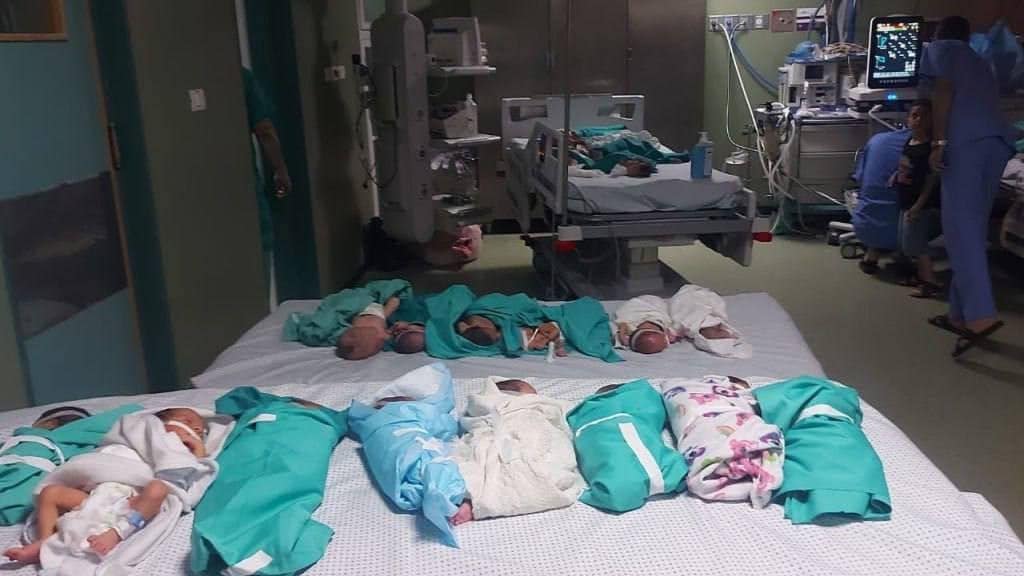Roep om kwetsbare baby's te evacueren uit ziekenhuis Gaza, maar hoe doe je dat?