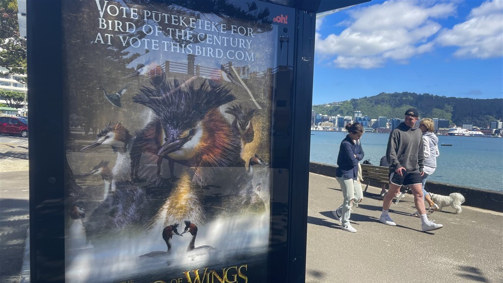 Reclame voor de vogel in Wellington.