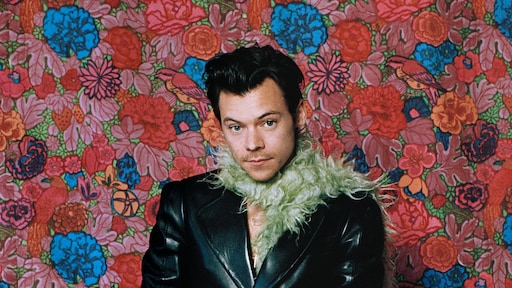 Harry Styles annuleert optreden wegens gezondheidsproblemen