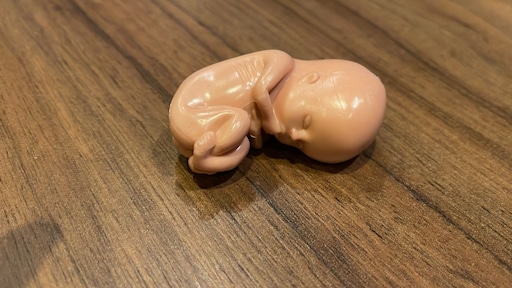 Alle Kamerleden krijgen anti-abortusbrief en poppetje: 'Misselijkmakend'