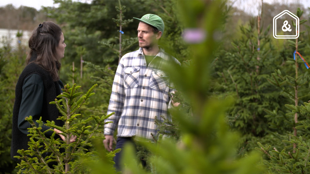 Een groenere kerst: duurzame keuzes voor jouw boom