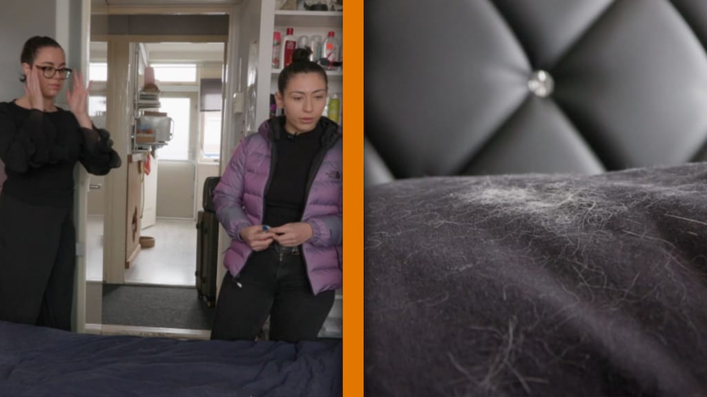 Kandidaten en kijkers Steenrijk, Straatarm schrikken van kattenharen op bed